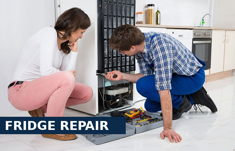 Fridge Repair Bloomsbury